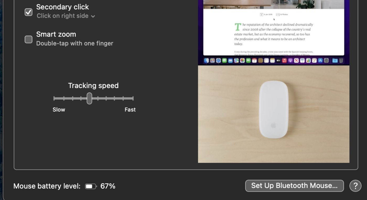 Fix Slow Magic Mouse